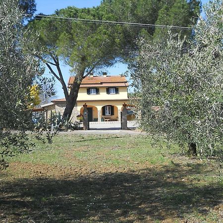 Villa Agriturismo Poggio Sassineri Magliano in Toscana Exterior foto