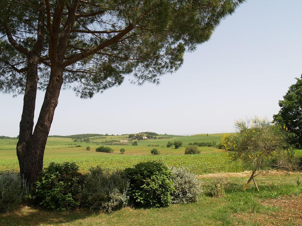 Villa Agriturismo Poggio Sassineri Magliano in Toscana Exterior foto