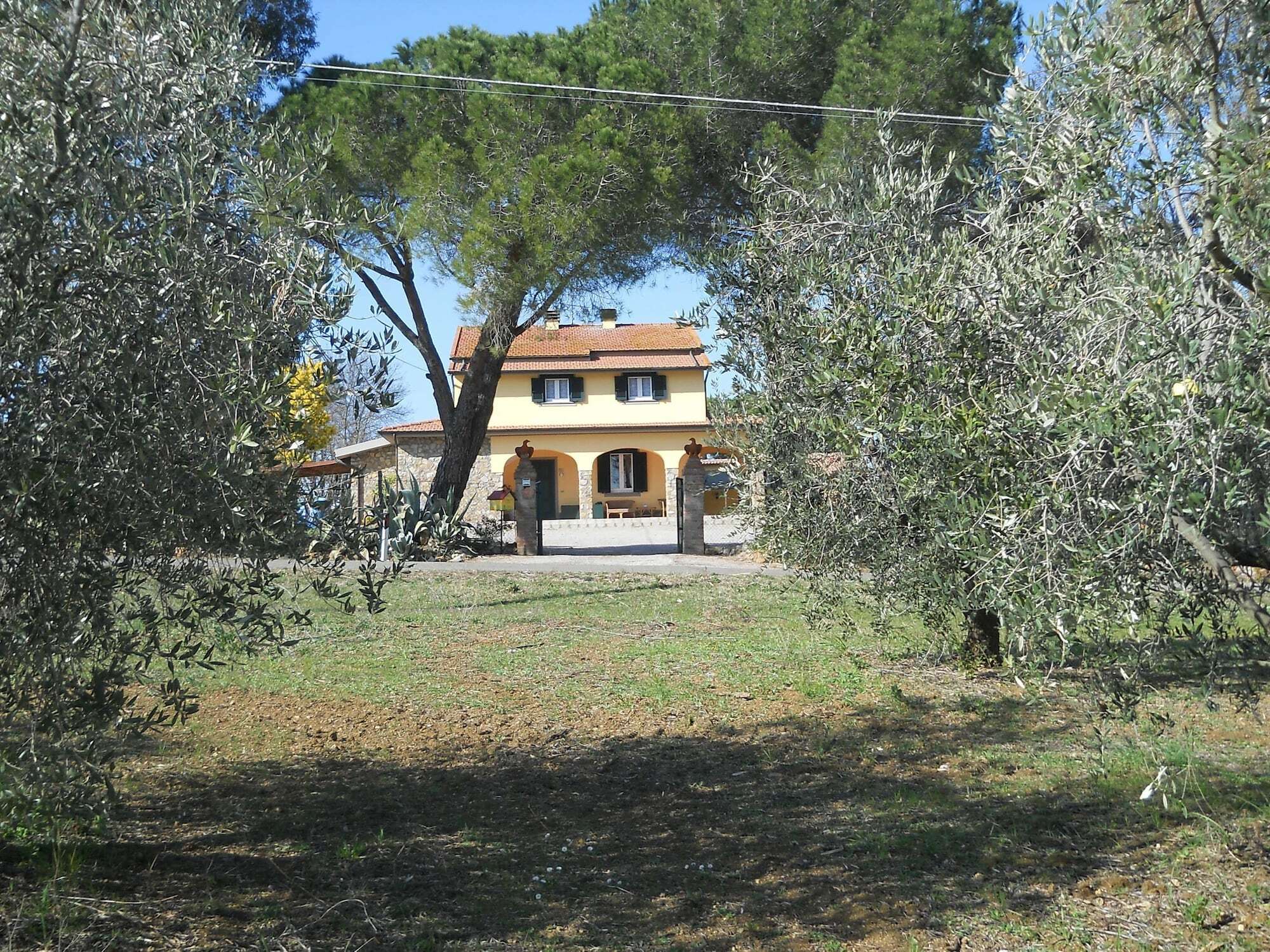 Villa Agriturismo Poggio Sassineri Magliano in Toscana Exterior foto